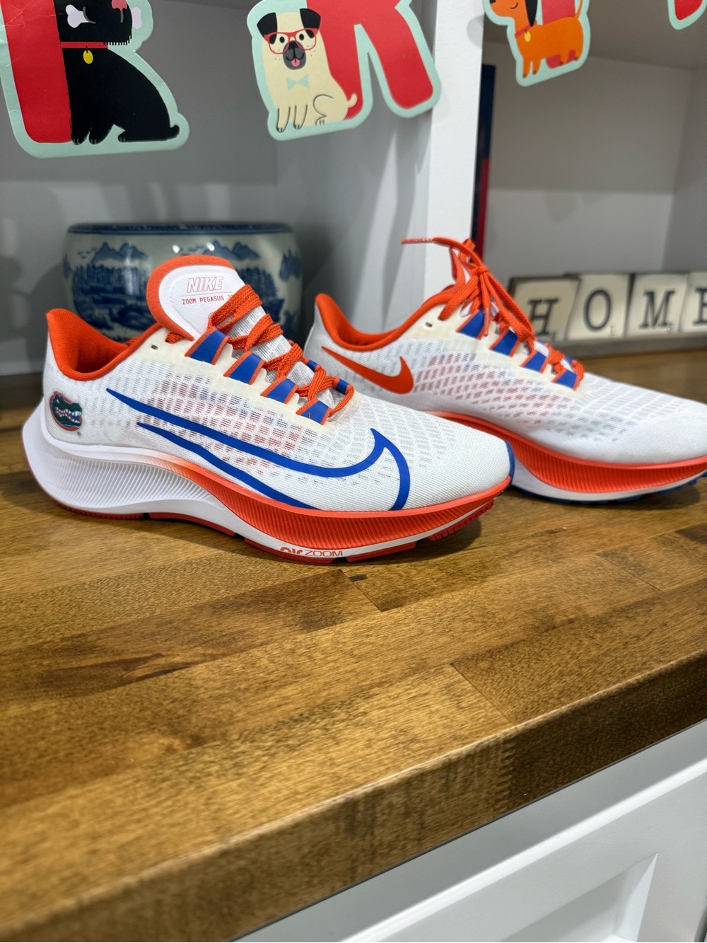 Nike Zoom Pegasus University of Florida (Gators) - men’s 6 or women’s 7.5